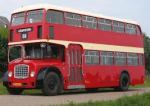 double dutch bus